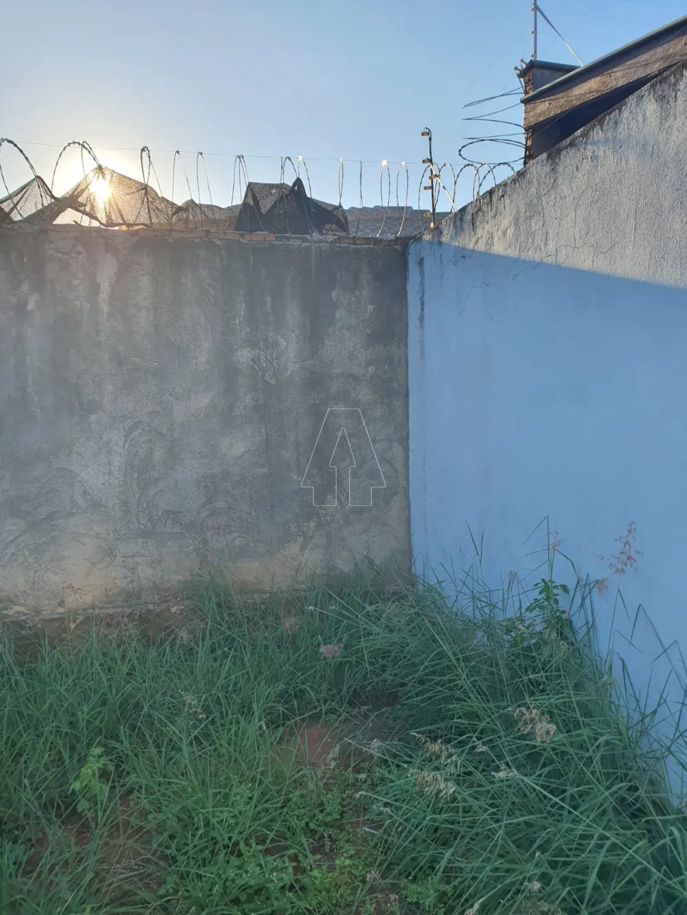 Comprar Terreno / Padrão em Araçatuba R$ 150.000,00 - Foto 2