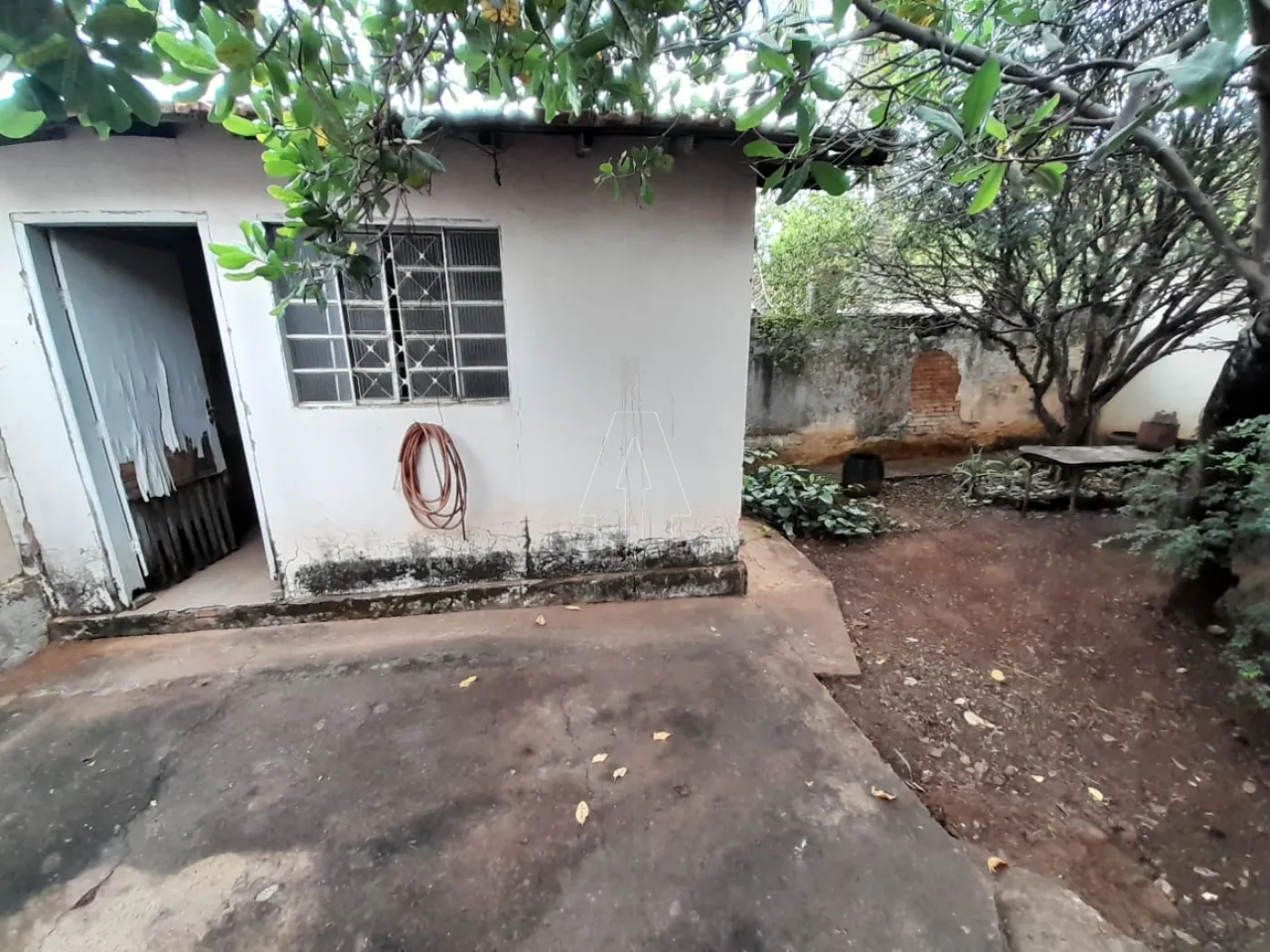 Comprar Comercial / Casa em Araçatuba - Foto 4