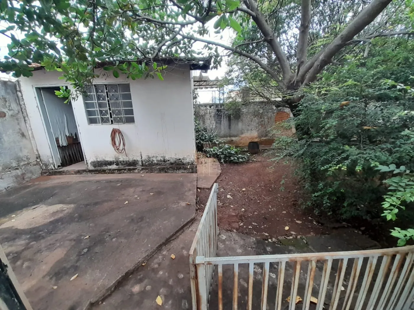 Comprar Comercial / Casa em Araçatuba - Foto 5