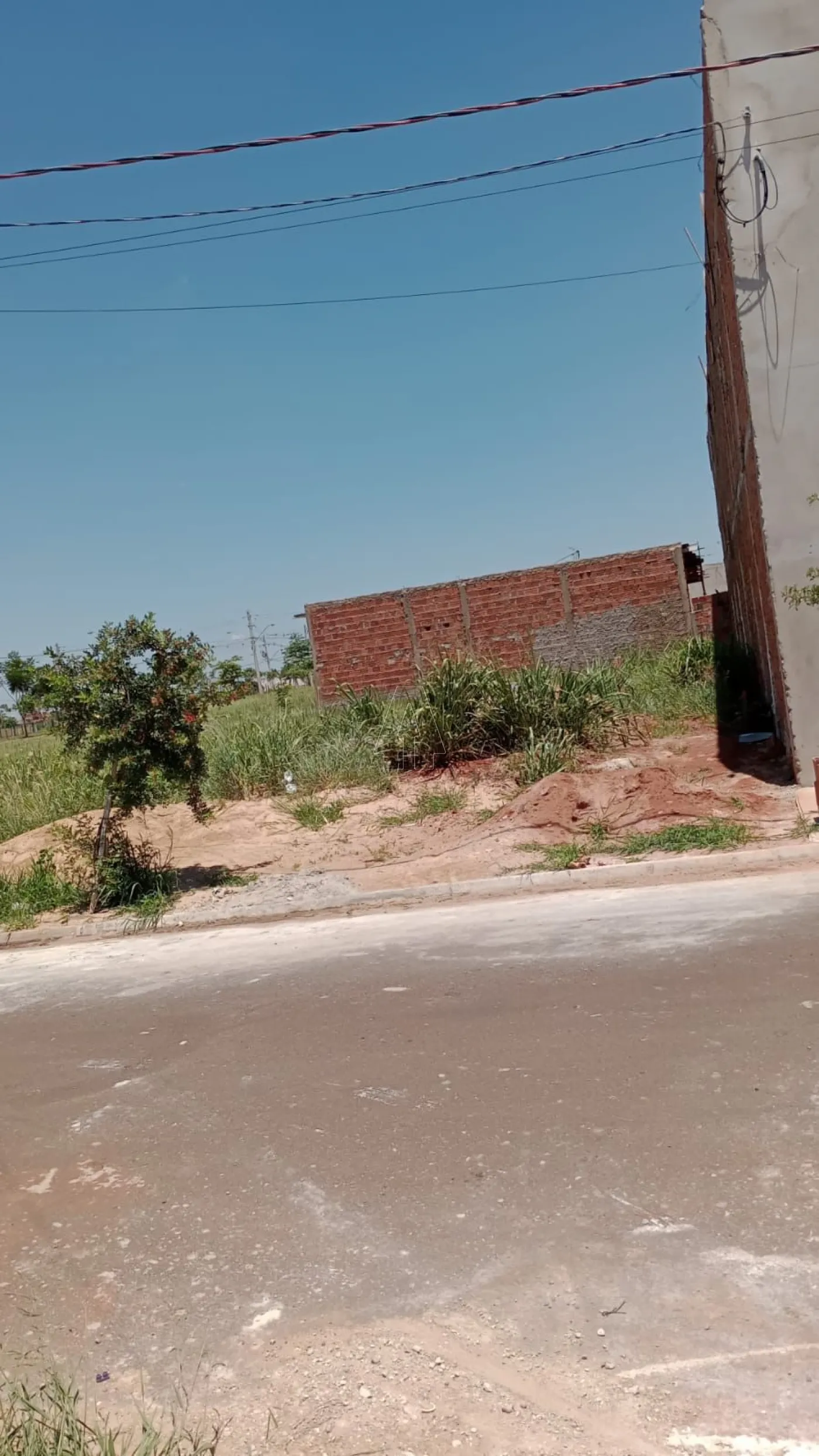 Comprar Terreno / Padrão em Araçatuba R$ 125.000,00 - Foto 1