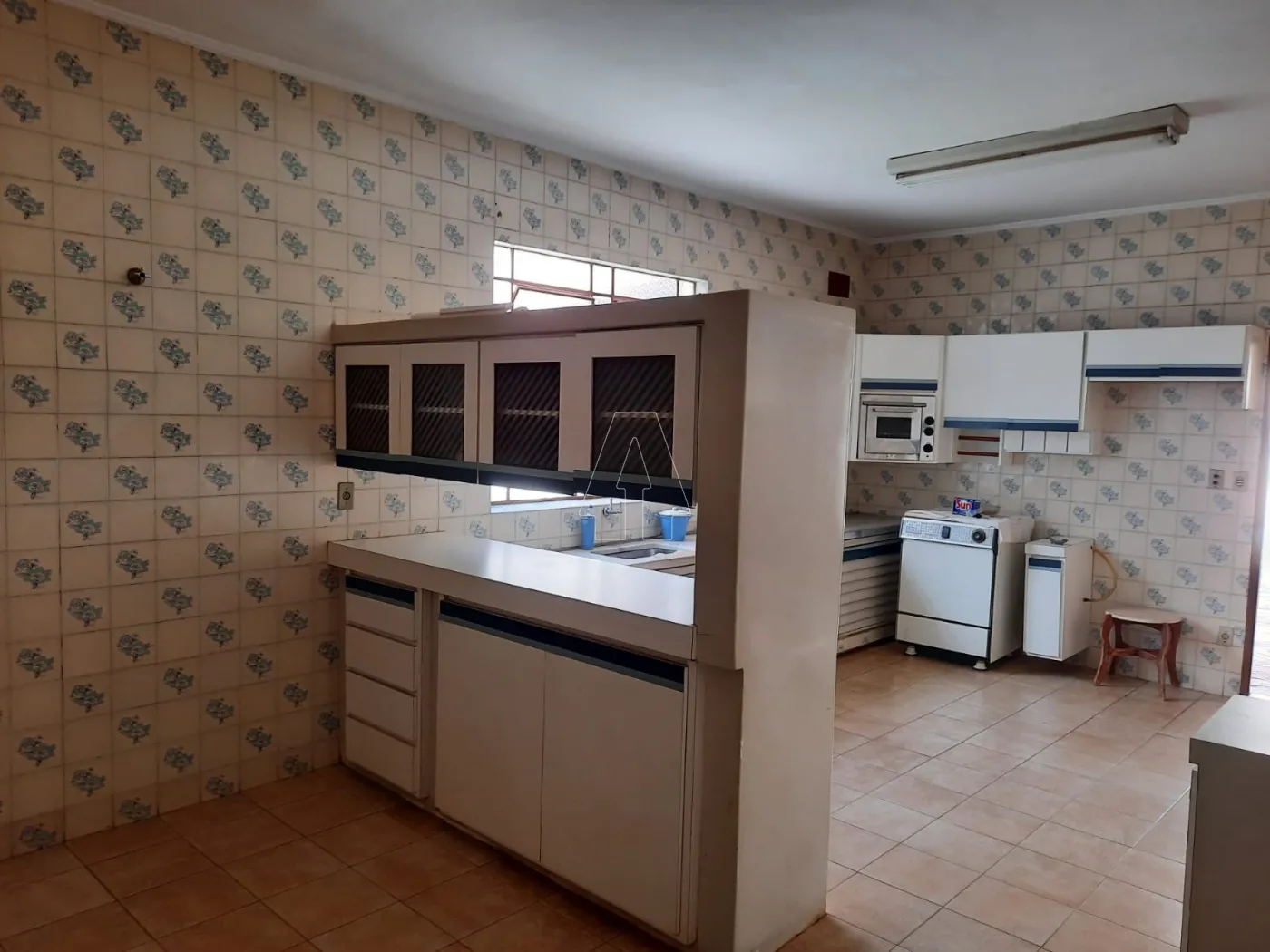 Alugar Comercial / Casa em Araçatuba R$ 3.000,00 - Foto 15