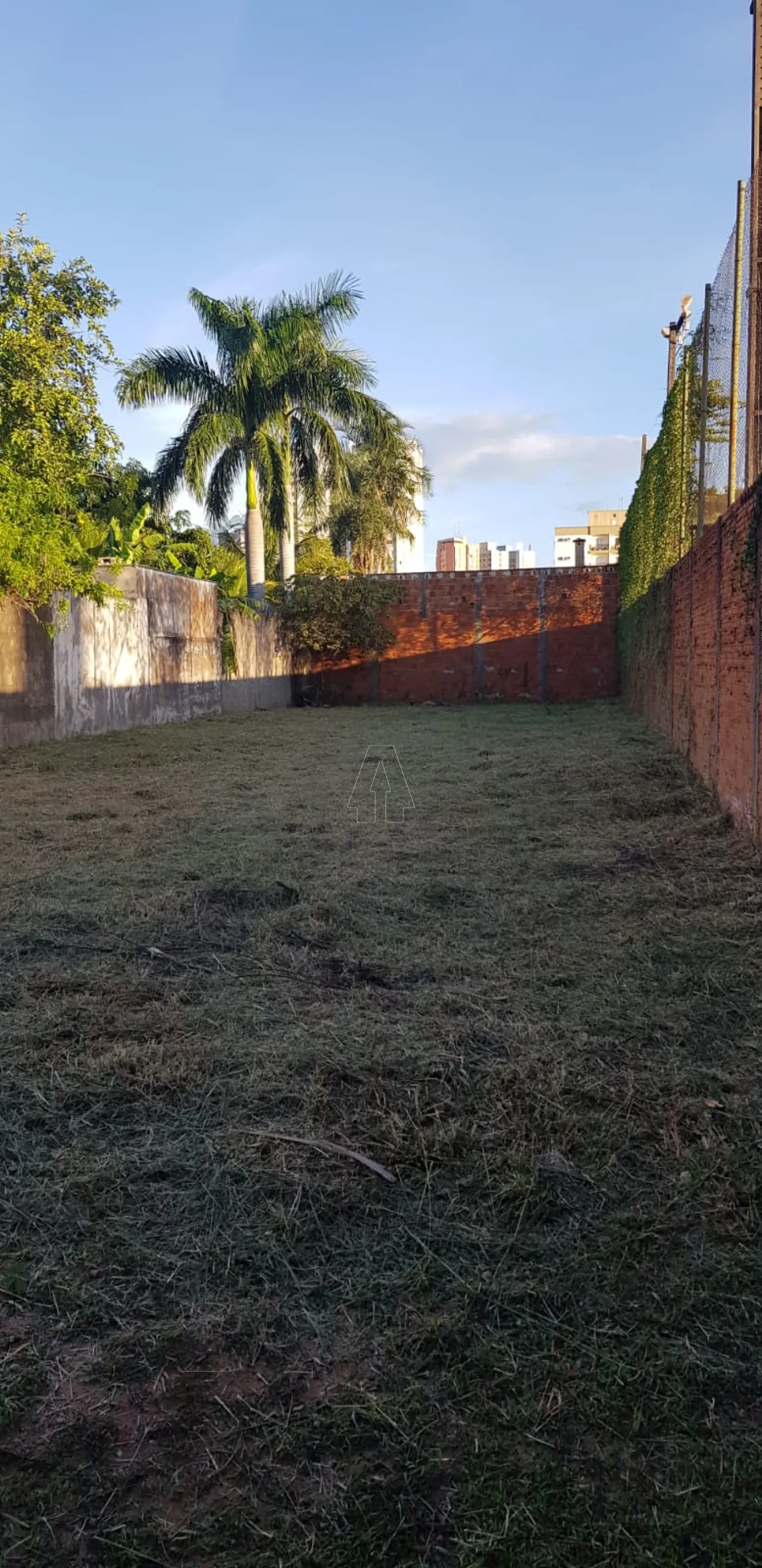 Comprar Terreno / Padrão em Araçatuba R$ 270.000,00 - Foto 1