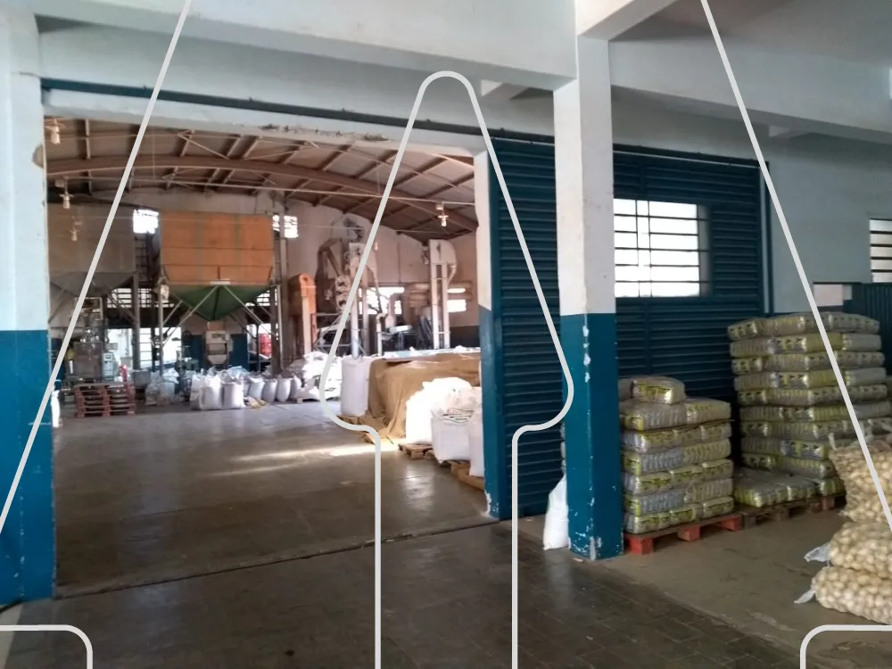 Comprar Comercial / Galpão em Araçatuba R$ 3.400.000,00 - Foto 4