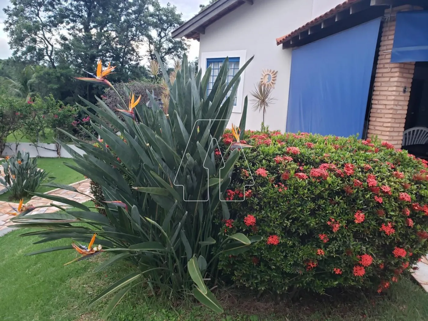 Comprar Rural / Rancho Condomínio em Araçatuba R$ 1.800.000,00 - Foto 19