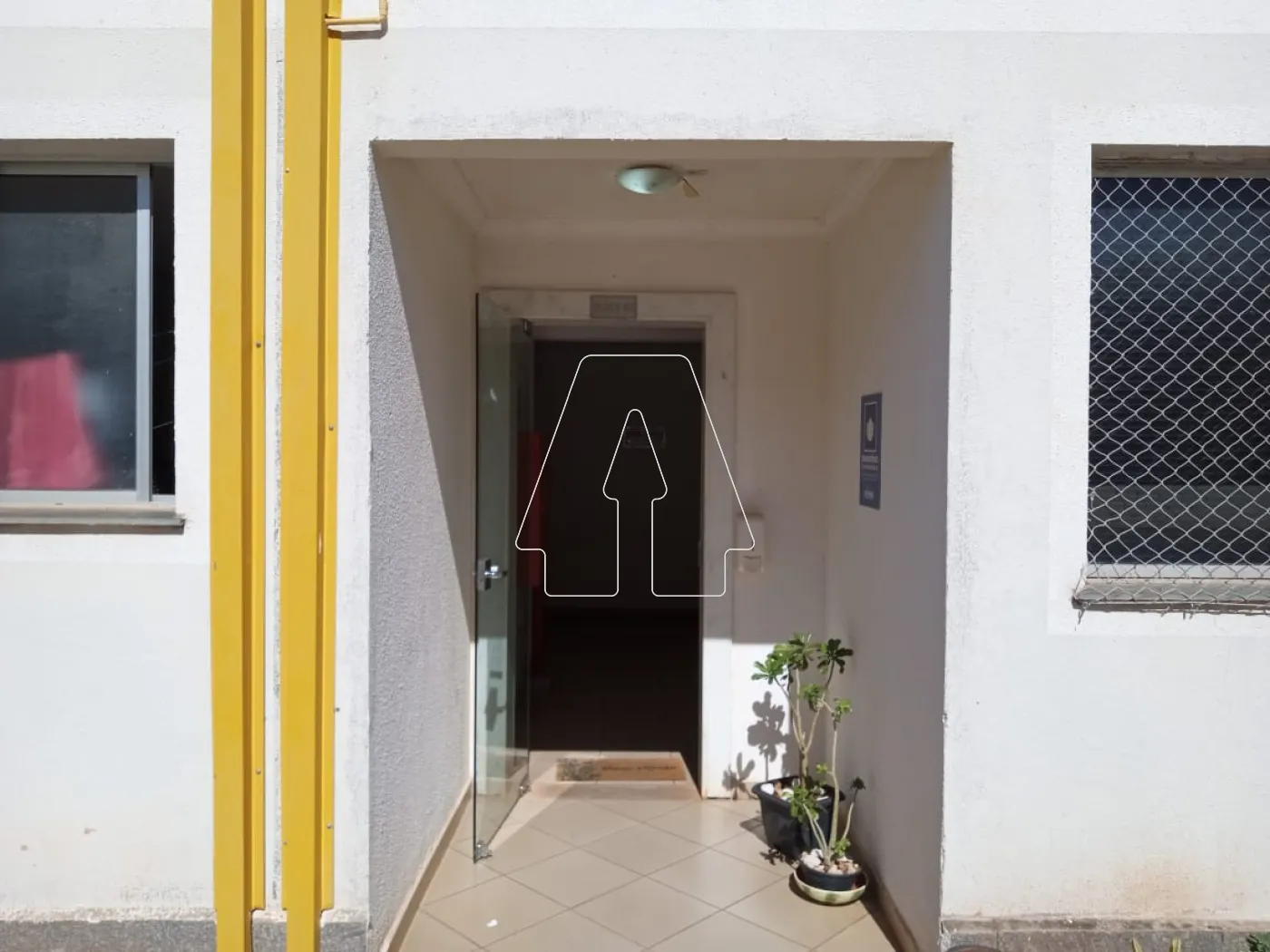 Alugar Apartamento / Padrão em Araçatuba R$ 900,00 - Foto 6