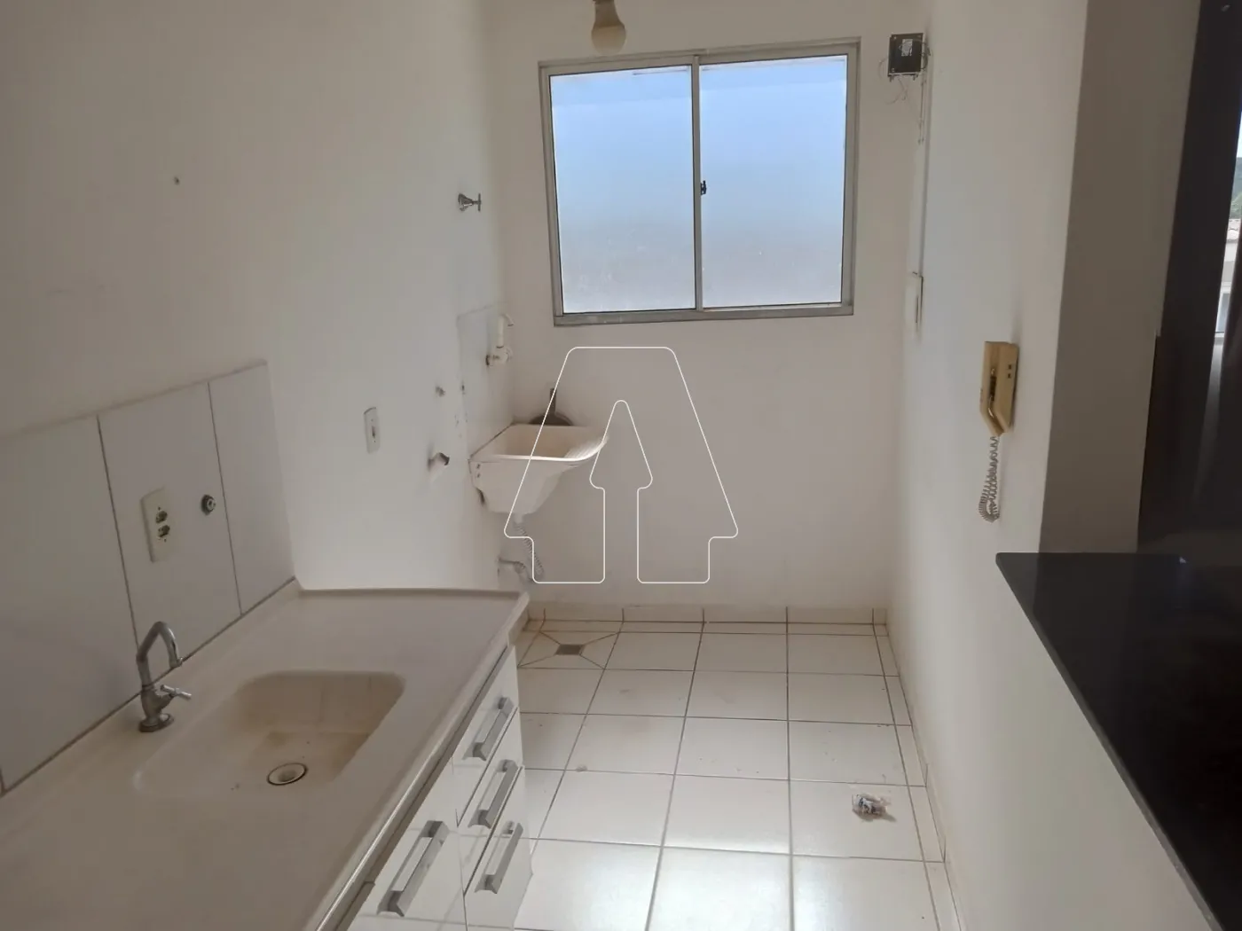 Alugar Apartamento / Padrão em Araçatuba R$ 900,00 - Foto 5