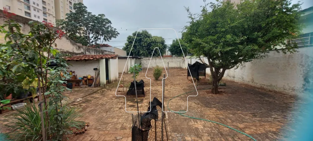 Comprar Terreno / Padrão em Araçatuba R$ 400.000,00 - Foto 1