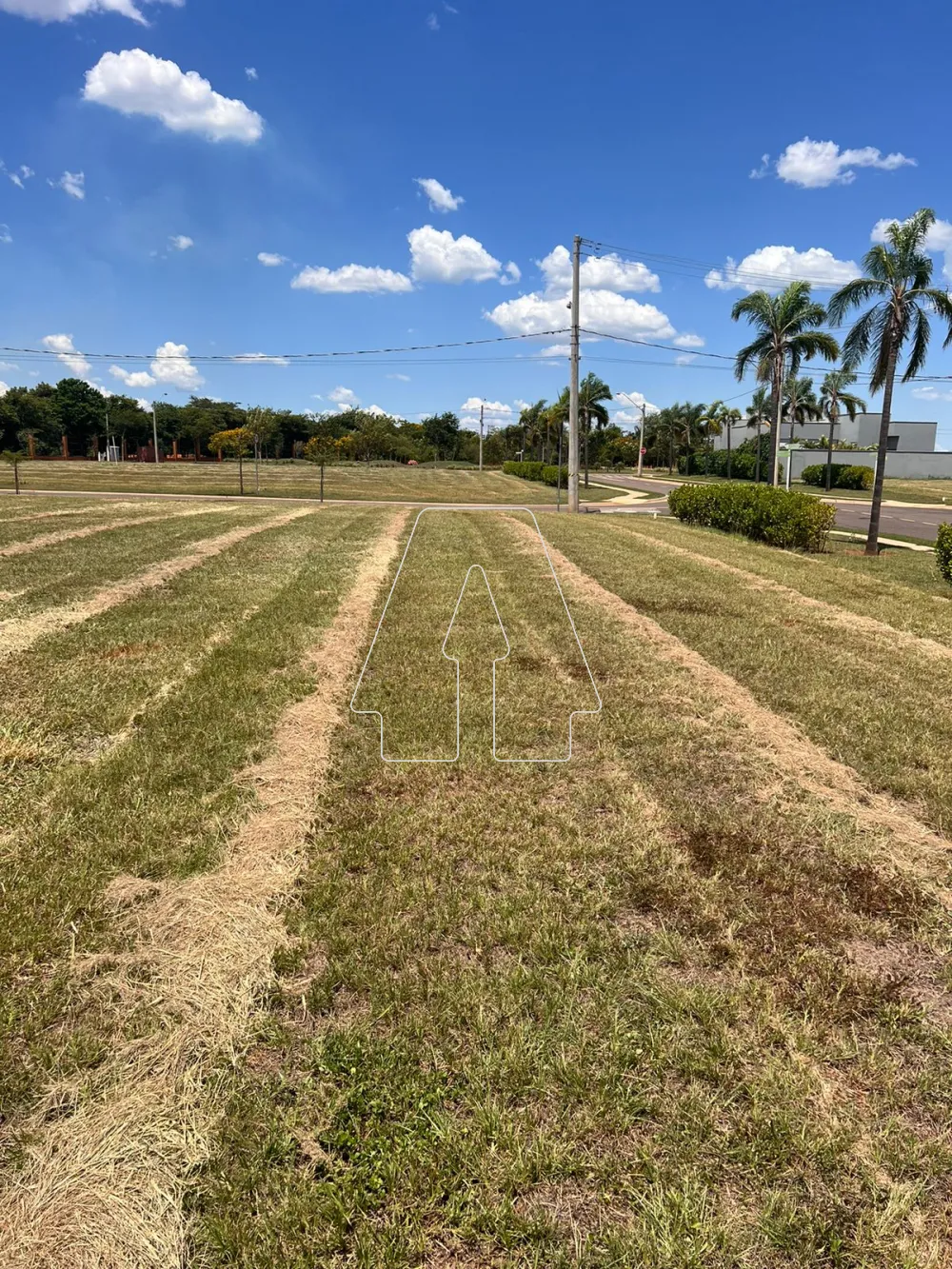 Comprar Terreno / Condomínio em Araçatuba R$ 400.000,00 - Foto 5