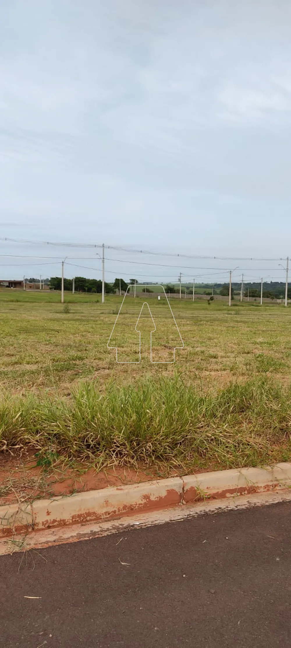 Comprar Terreno / Condomínio em Araçatuba R$ 230.000,00 - Foto 4