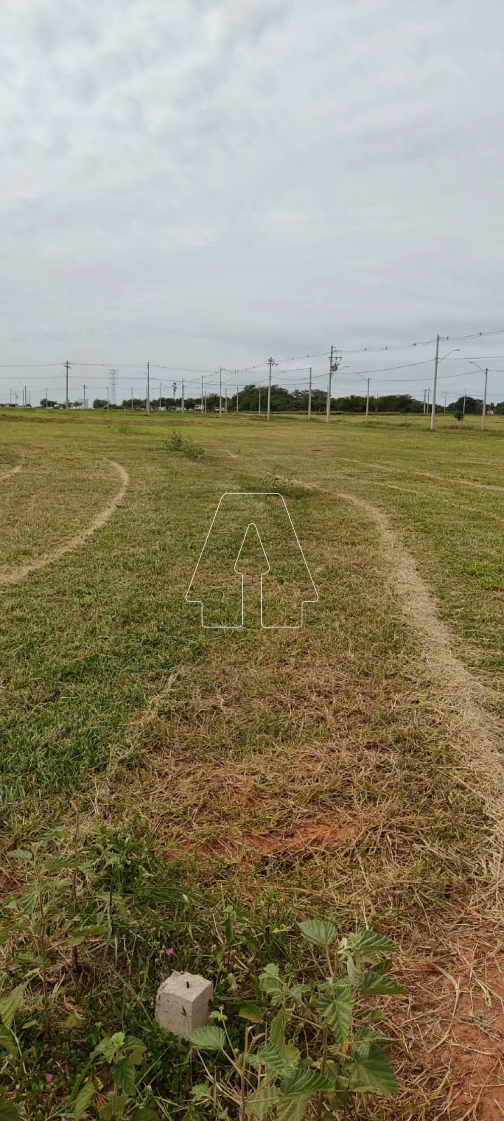 Comprar Terreno / Condomínio em Araçatuba R$ 230.000,00 - Foto 6