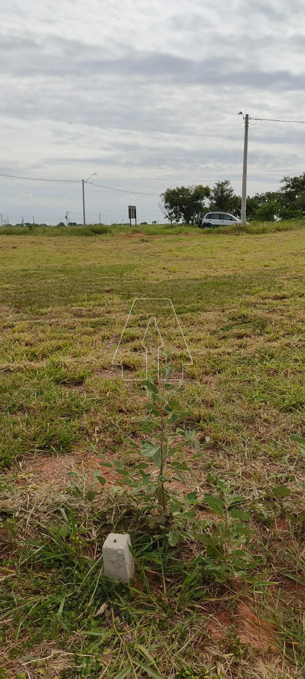 Comprar Terreno / Condomínio em Araçatuba R$ 230.000,00 - Foto 7