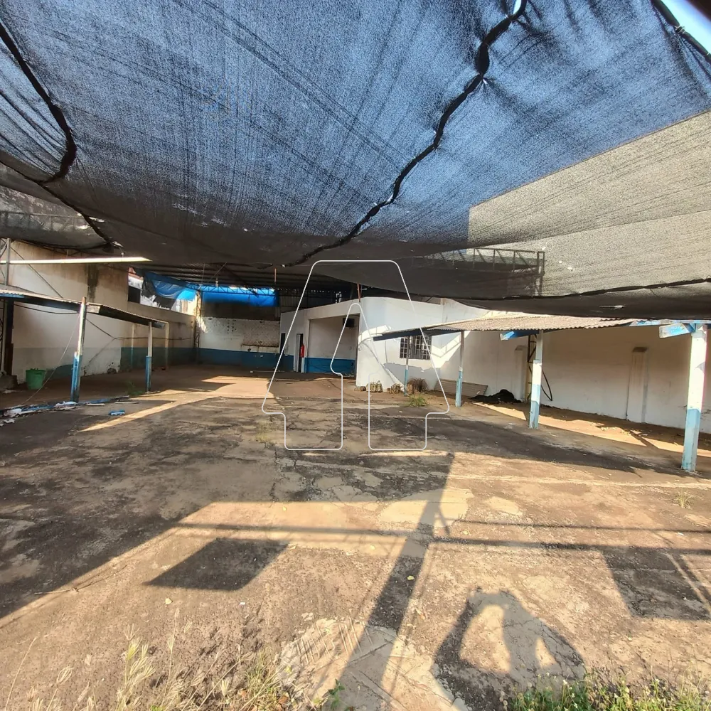 Comprar Terreno / Padrão em Araçatuba R$ 550.000,00 - Foto 4