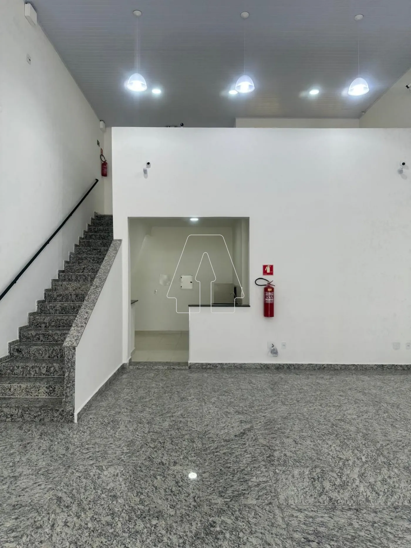 Alugar Comercial / Salão em Araçatuba R$ 5.000,00 - Foto 5