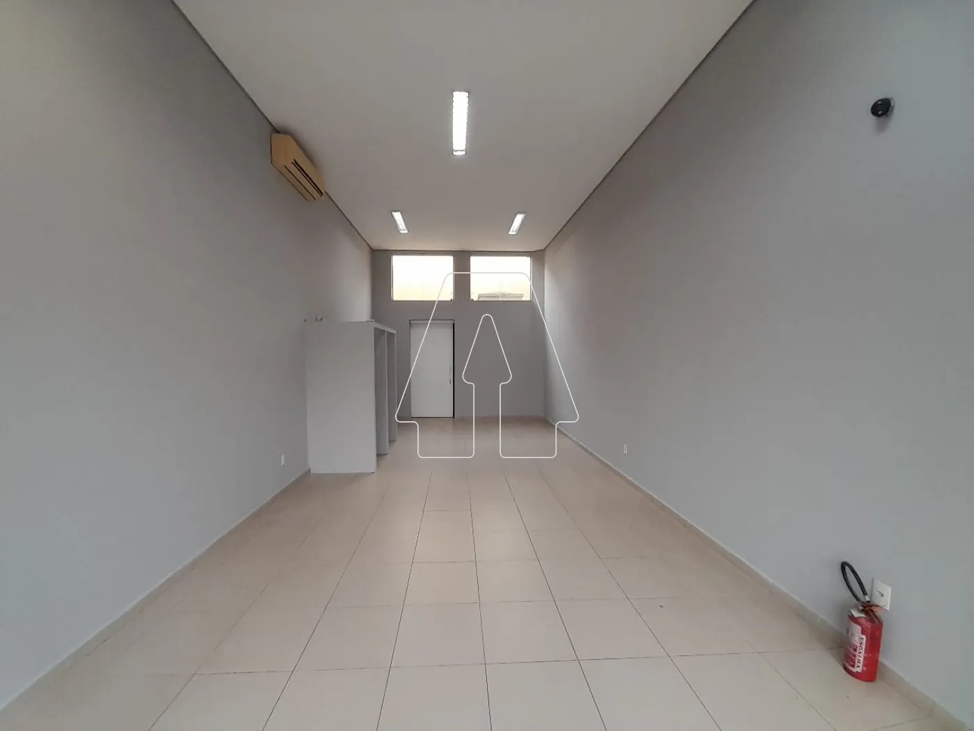 Alugar Comercial / Salão em Araçatuba R$ 1.600,00 - Foto 3