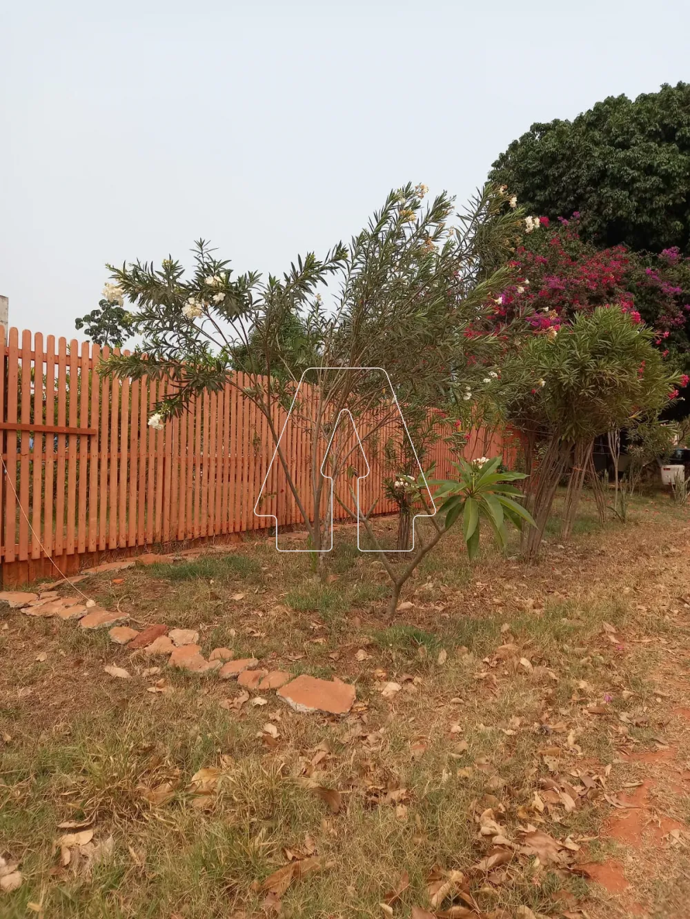 Comprar Terreno / Condomínio em Santo Antônio do Aracanguá R$ 160.000,00 - Foto 1