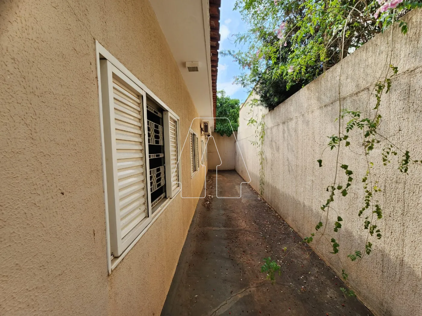 Alugar Comercial / Casa em Araçatuba R$ 4.000,00 - Foto 15