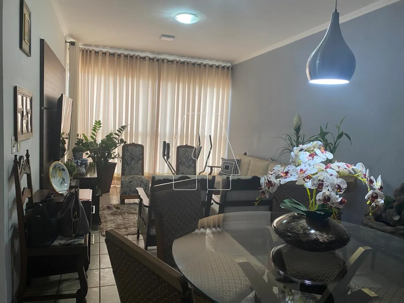 Comprar Apartamento / Padrão em Araçatuba R$ 290.000,00 - Foto 1