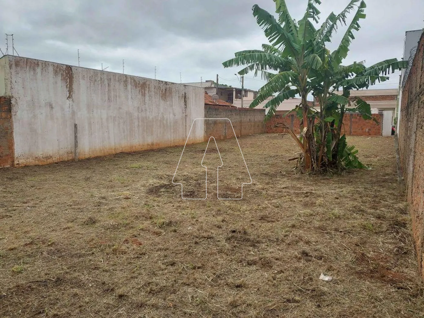 Comprar Terreno / Padrão em Araçatuba R$ 170.000,00 - Foto 2