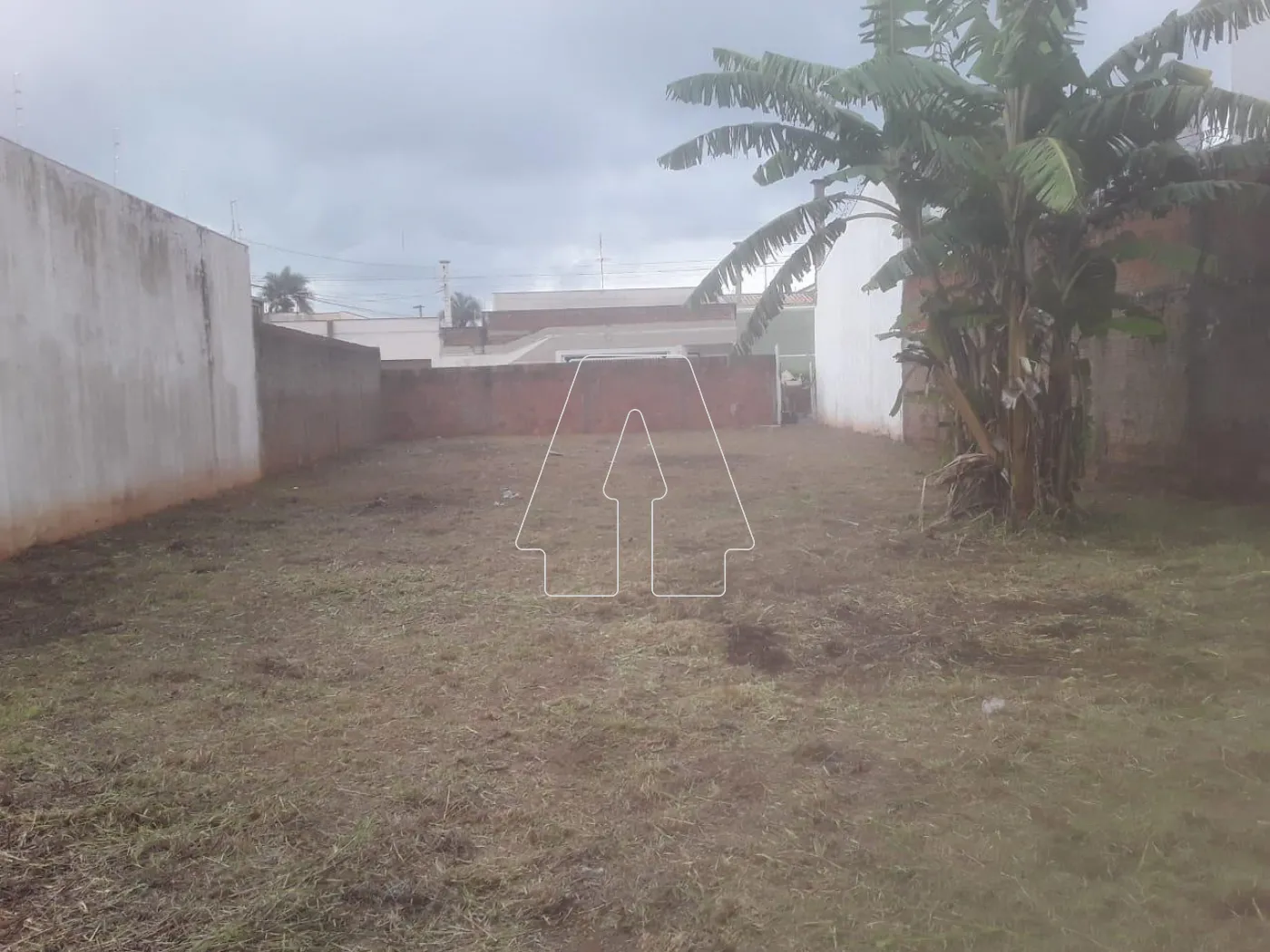 Comprar Terreno / Padrão em Araçatuba R$ 170.000,00 - Foto 4