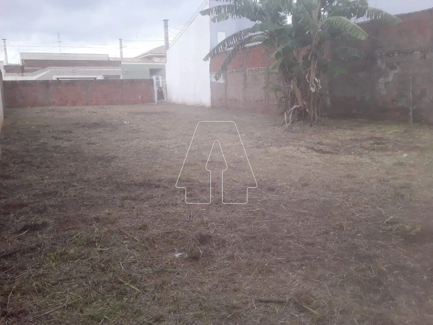 Comprar Terreno / Padrão em Araçatuba R$ 170.000,00 - Foto 5