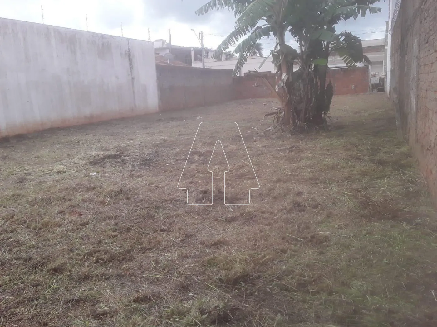 Comprar Terreno / Padrão em Araçatuba R$ 170.000,00 - Foto 6