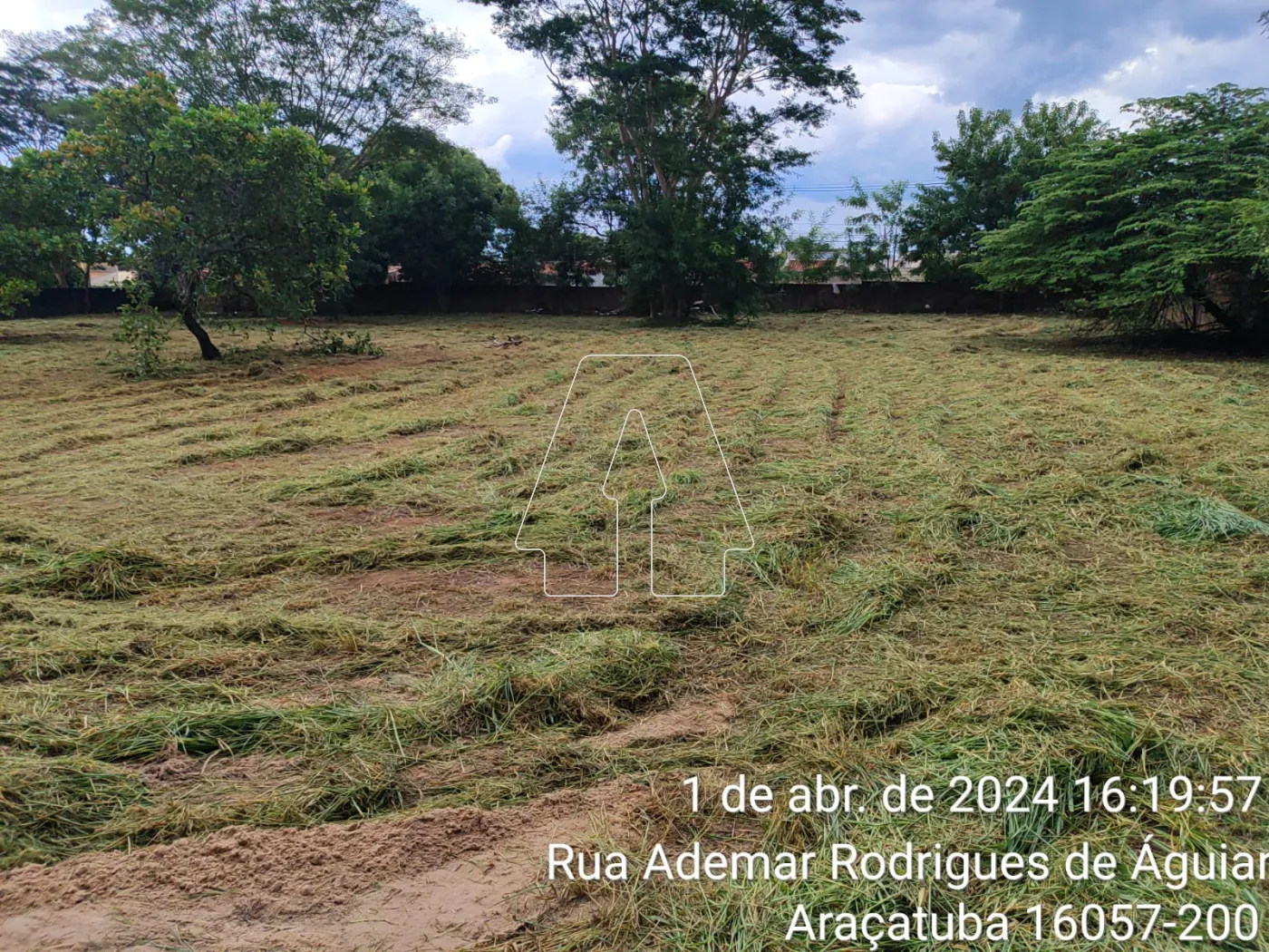 Comprar Terreno / Área em Araçatuba R$ 1.600.000,00 - Foto 3