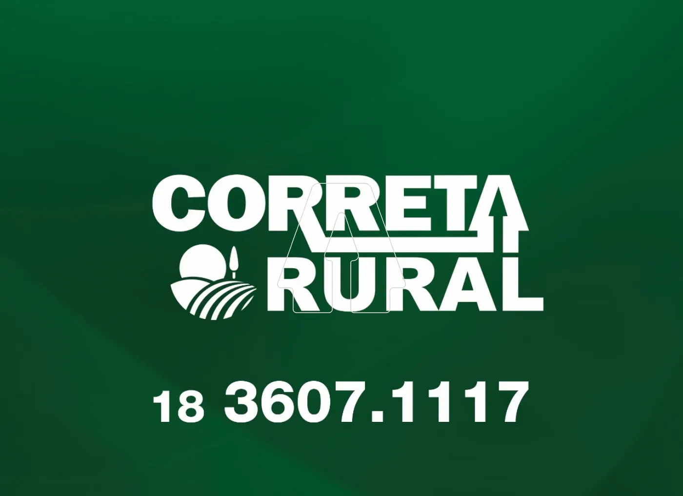 Comprar Rural / Fazenda em Andradina - Foto 1