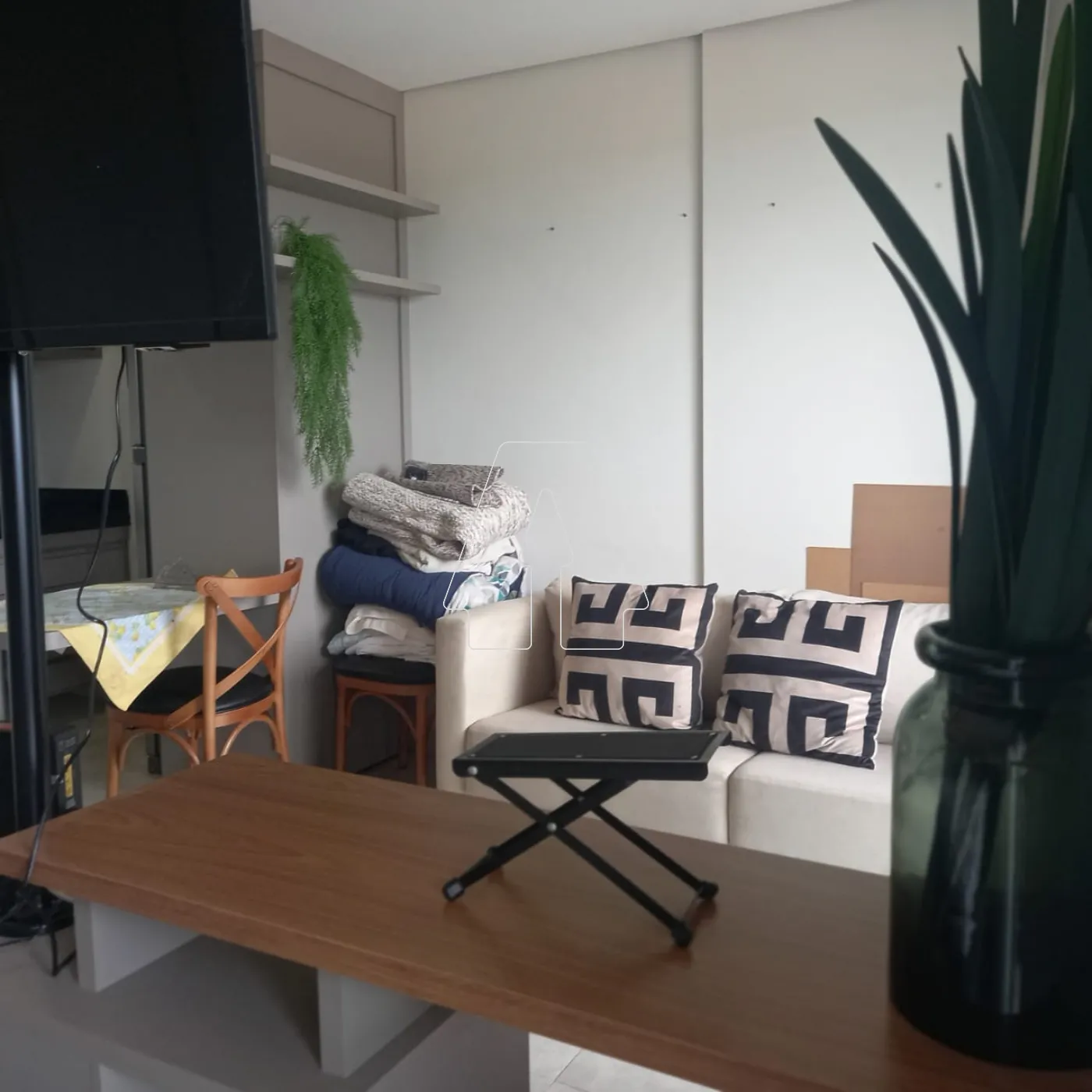 Alugar Apartamento / Padrão em Araçatuba R$ 2.800,00 - Foto 3