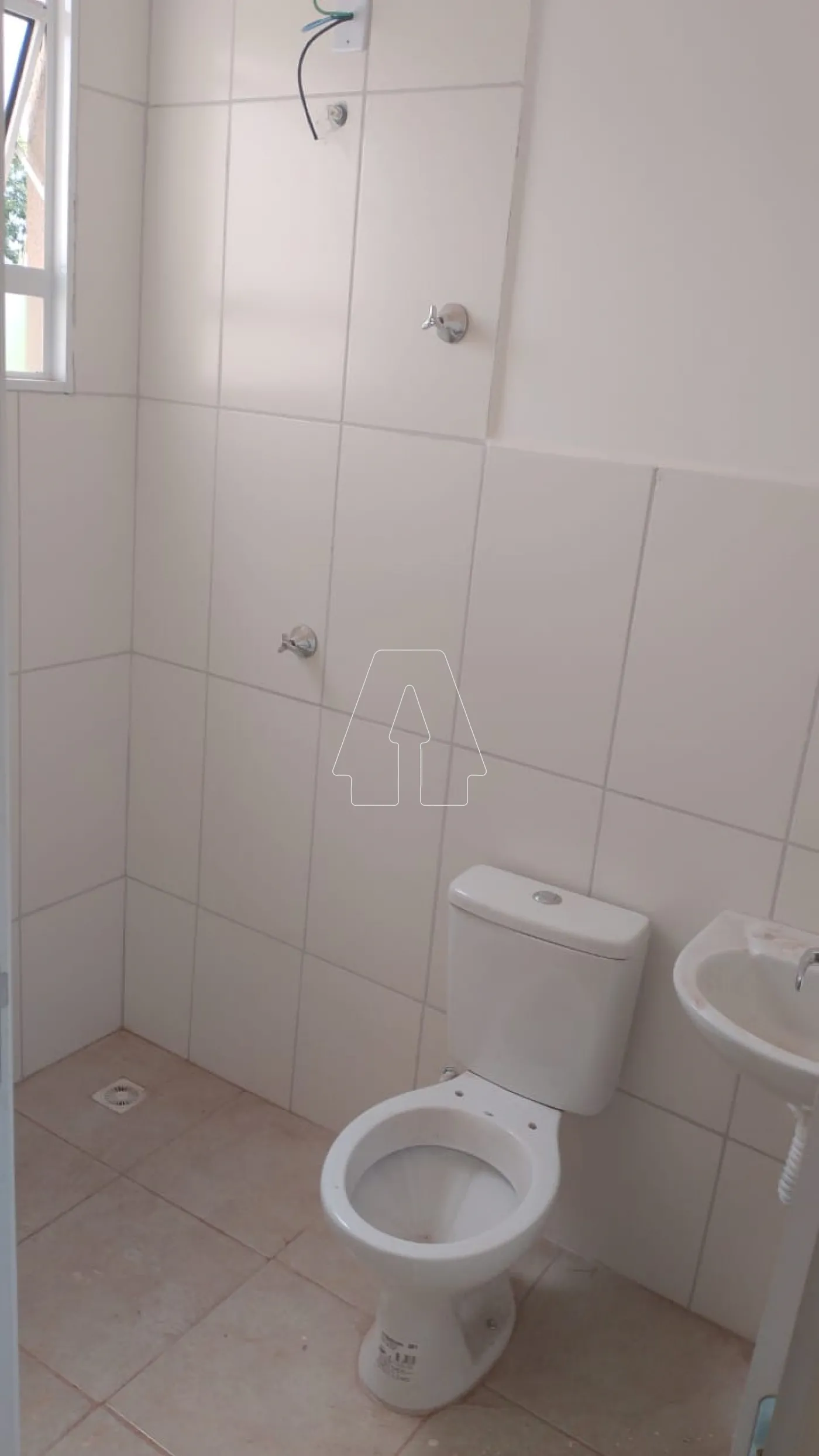 Alugar Casa / Residencial em Araçatuba R$ 700,00 - Foto 6