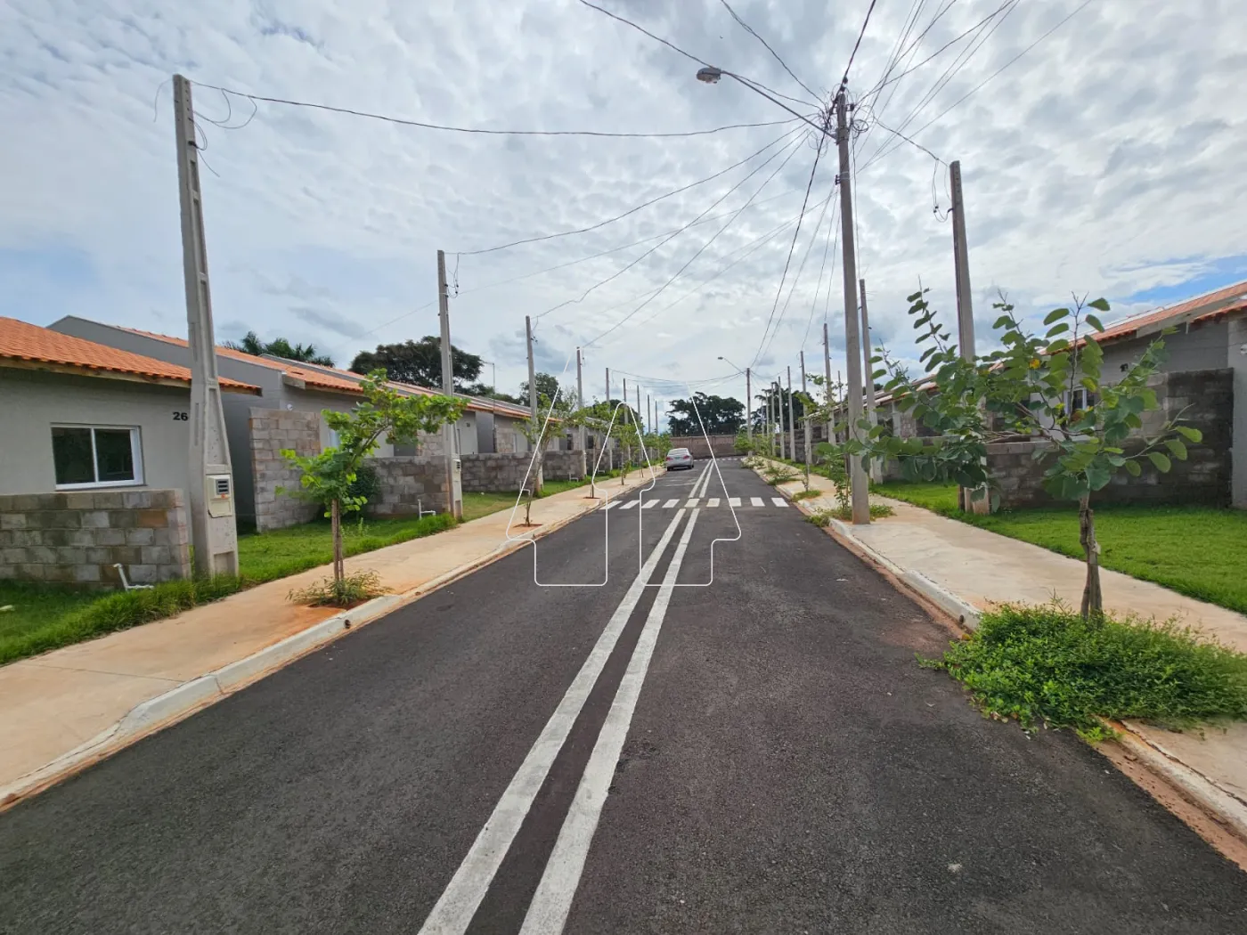 Alugar Casa / Condomínio em Araçatuba R$ 800,00 - Foto 6