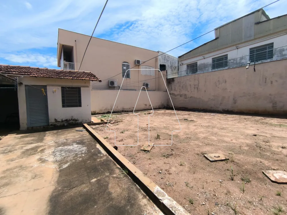 Comprar Casa / Residencial em Araçatuba R$ 550.000,00 - Foto 13