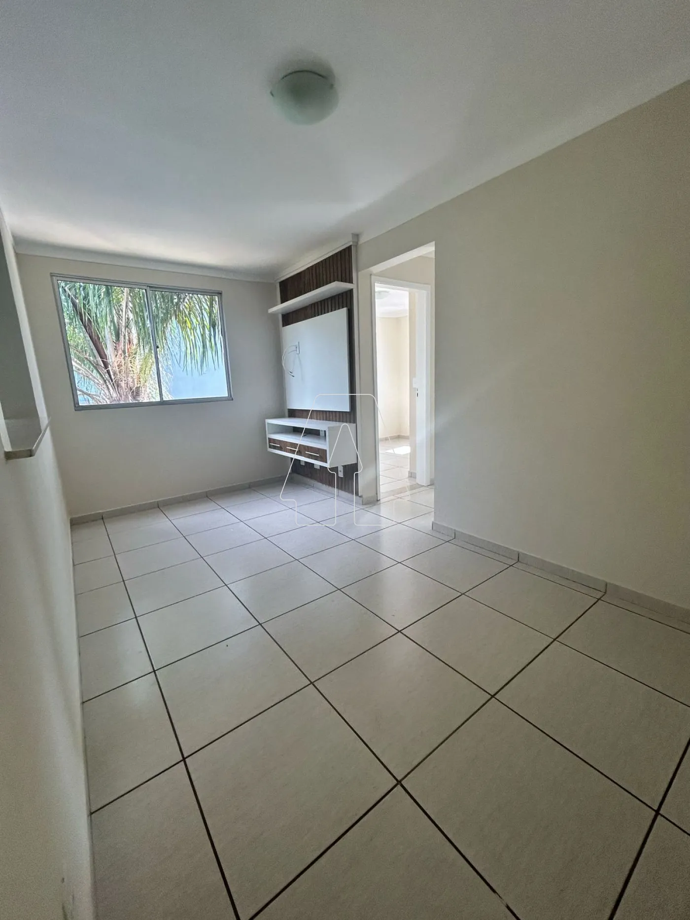 Alugar Apartamento / Padrão em Araçatuba R$ 1.500,00 - Foto 1