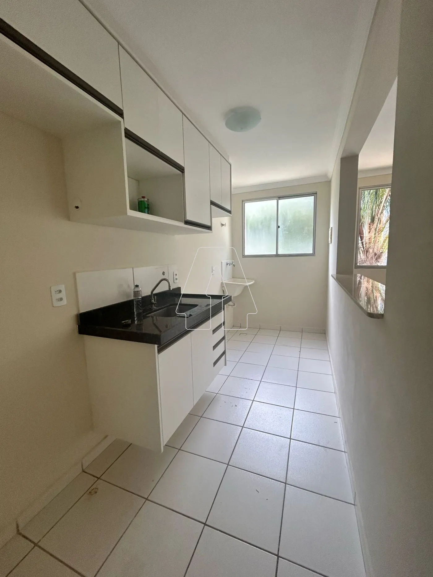 Alugar Apartamento / Padrão em Araçatuba R$ 1.500,00 - Foto 2