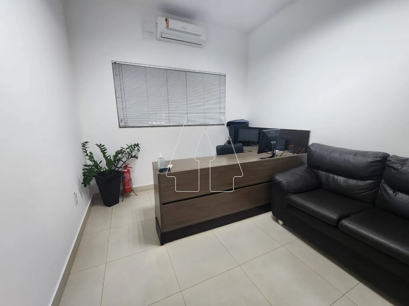 Alugar Comercial / Casa em Araçatuba R$ 4.040,00 - Foto 3