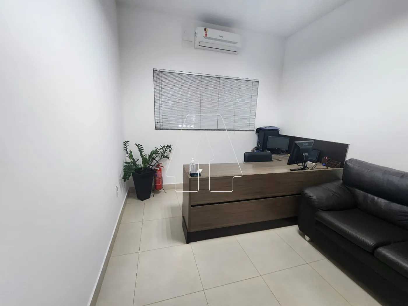 Alugar Comercial / Casa em Araçatuba R$ 4.040,00 - Foto 4