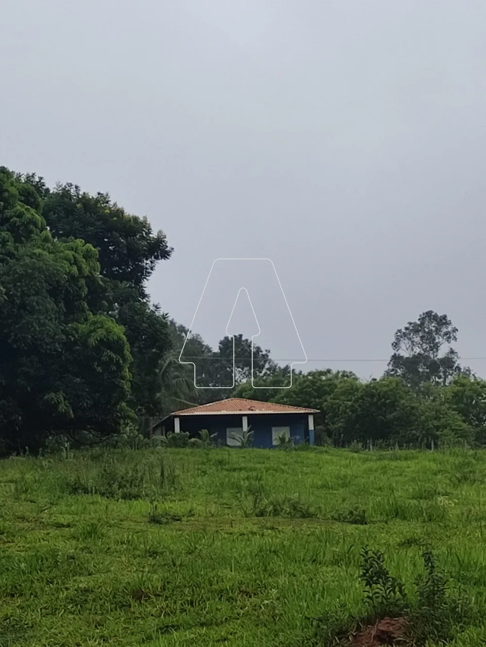 Comprar Rural / Sítio em Araçatuba R$ 490.000,00 - Foto 1