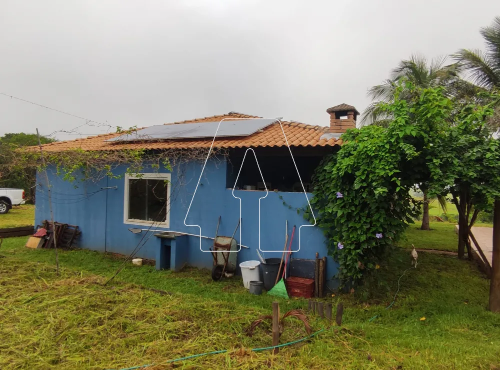 Comprar Rural / Sítio em Araçatuba R$ 490.000,00 - Foto 6