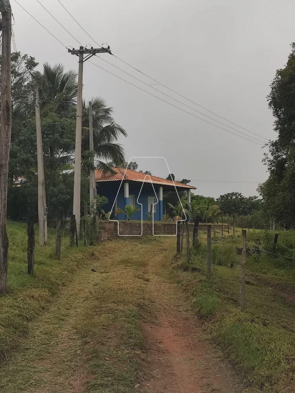 Comprar Rural / Sítio em Araçatuba R$ 490.000,00 - Foto 9