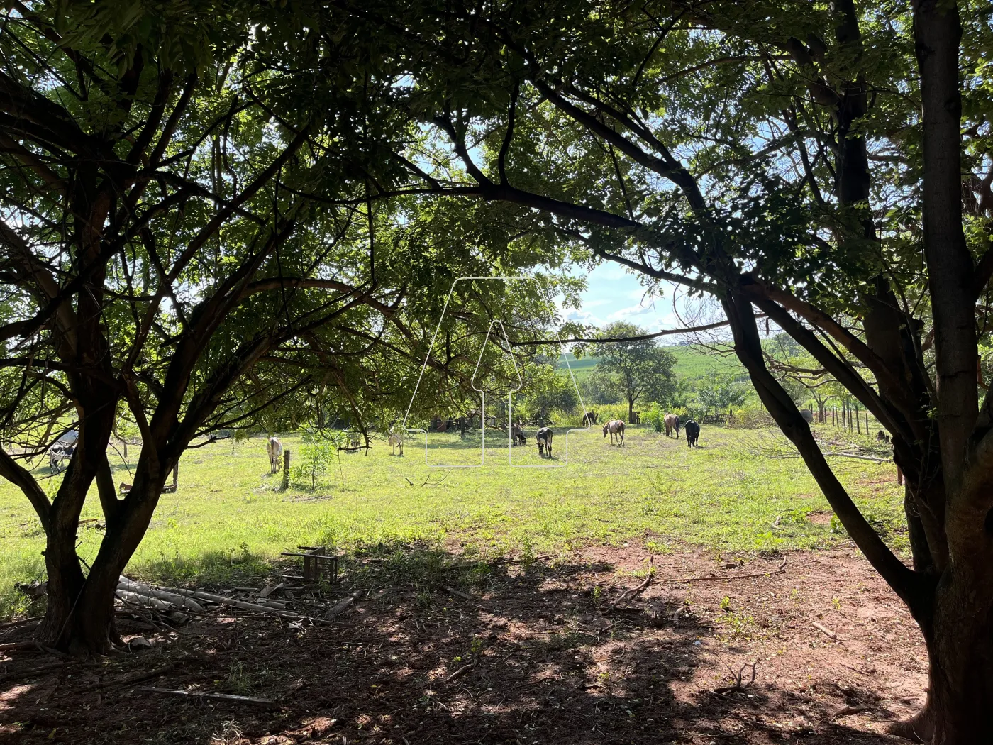 Comprar Rural / Chácara em Araçatuba R$ 500.000,00 - Foto 23