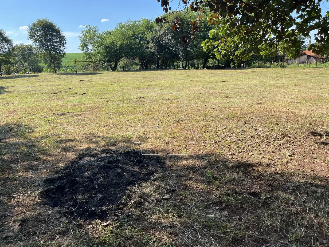 Comprar Rural / Chácara em Araçatuba R$ 500.000,00 - Foto 25