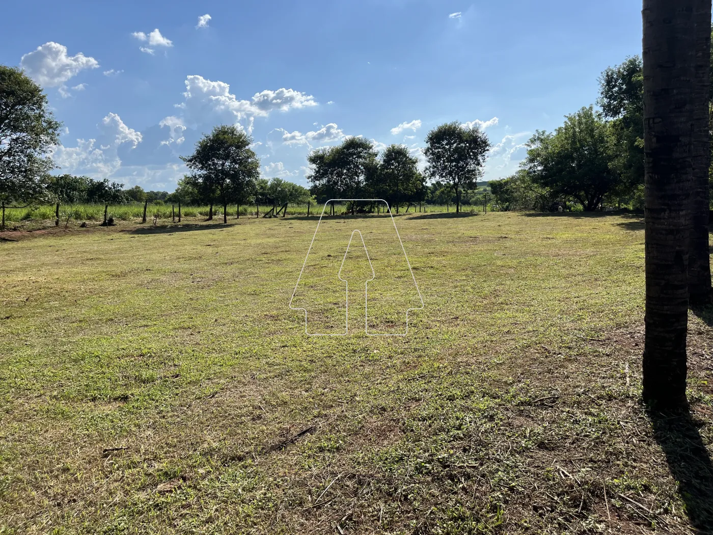 Comprar Rural / Chácara em Araçatuba R$ 500.000,00 - Foto 26