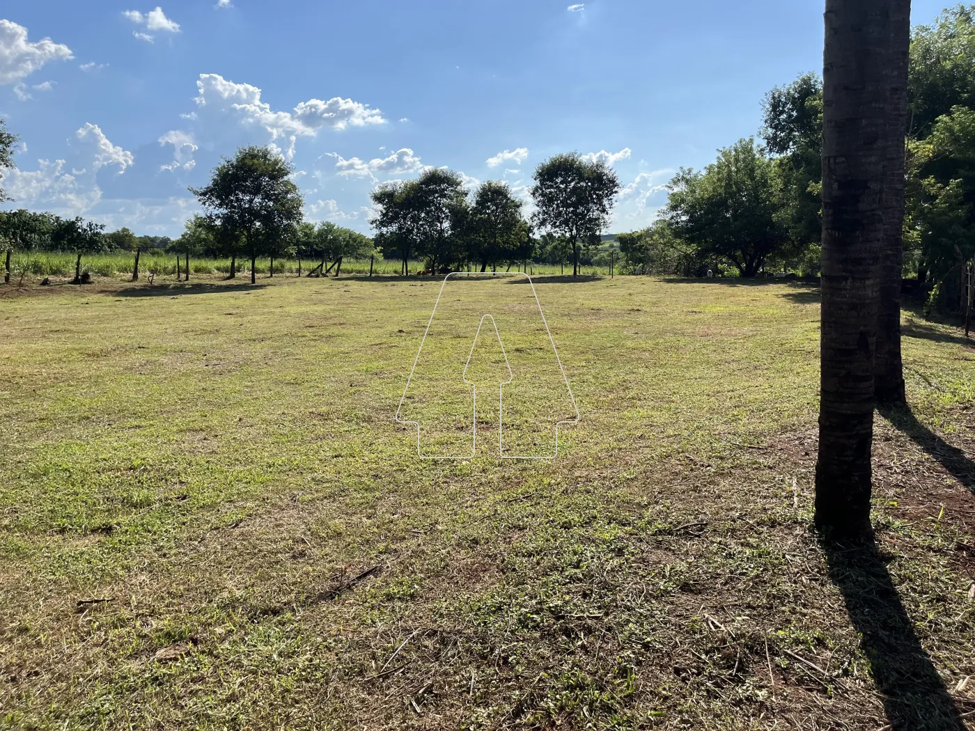 Comprar Rural / Chácara em Araçatuba R$ 500.000,00 - Foto 27