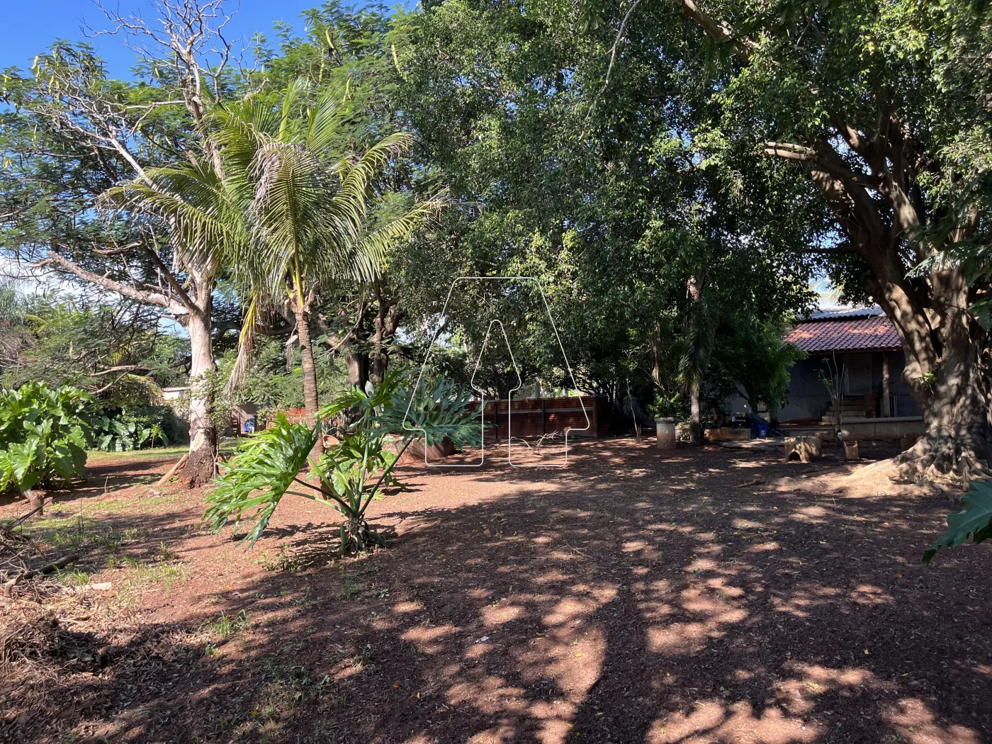 Comprar Rural / Chácara em Araçatuba R$ 500.000,00 - Foto 29