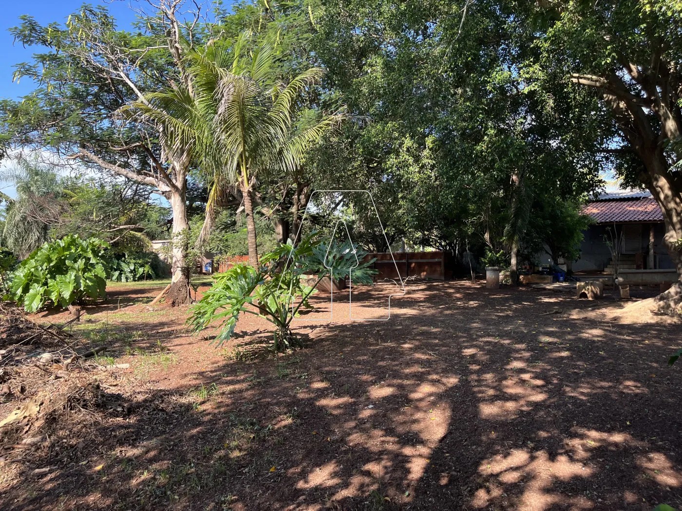 Comprar Rural / Chácara em Araçatuba R$ 500.000,00 - Foto 30