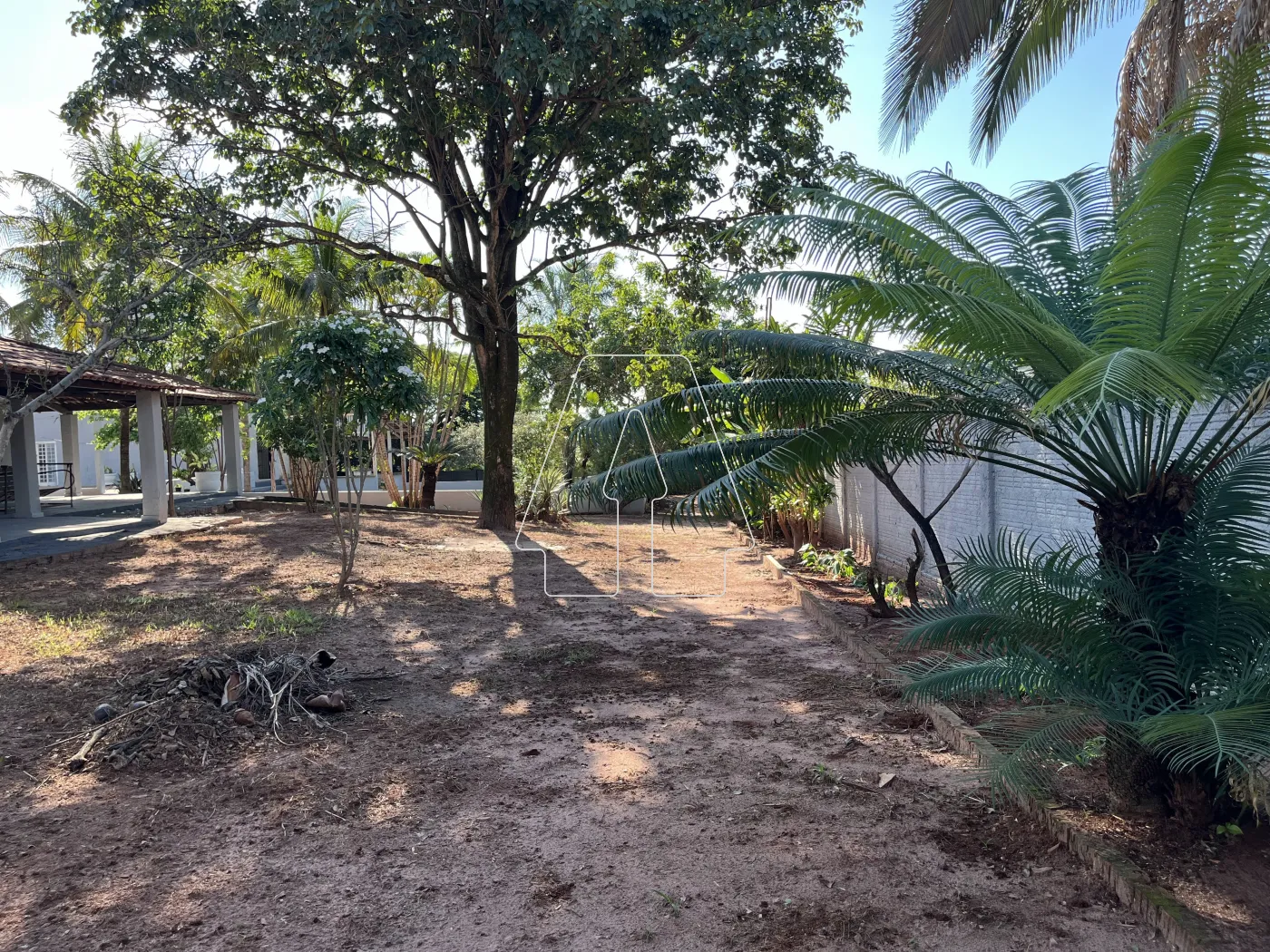 Comprar Rural / Chácara em Araçatuba R$ 500.000,00 - Foto 37