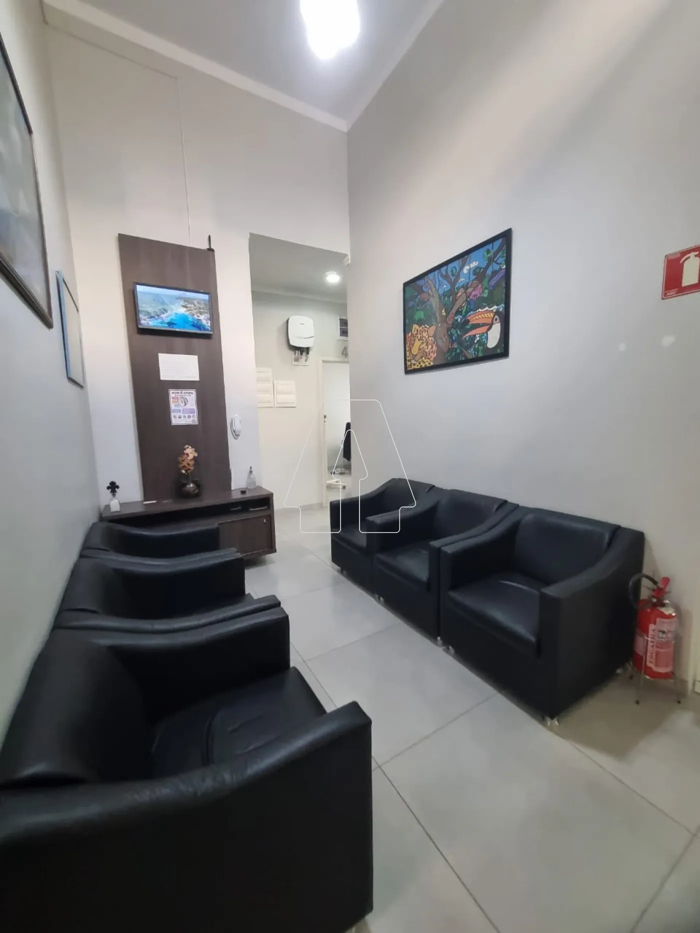 Alugar Comercial / Sala em Araçatuba R$ 575,00 - Foto 3