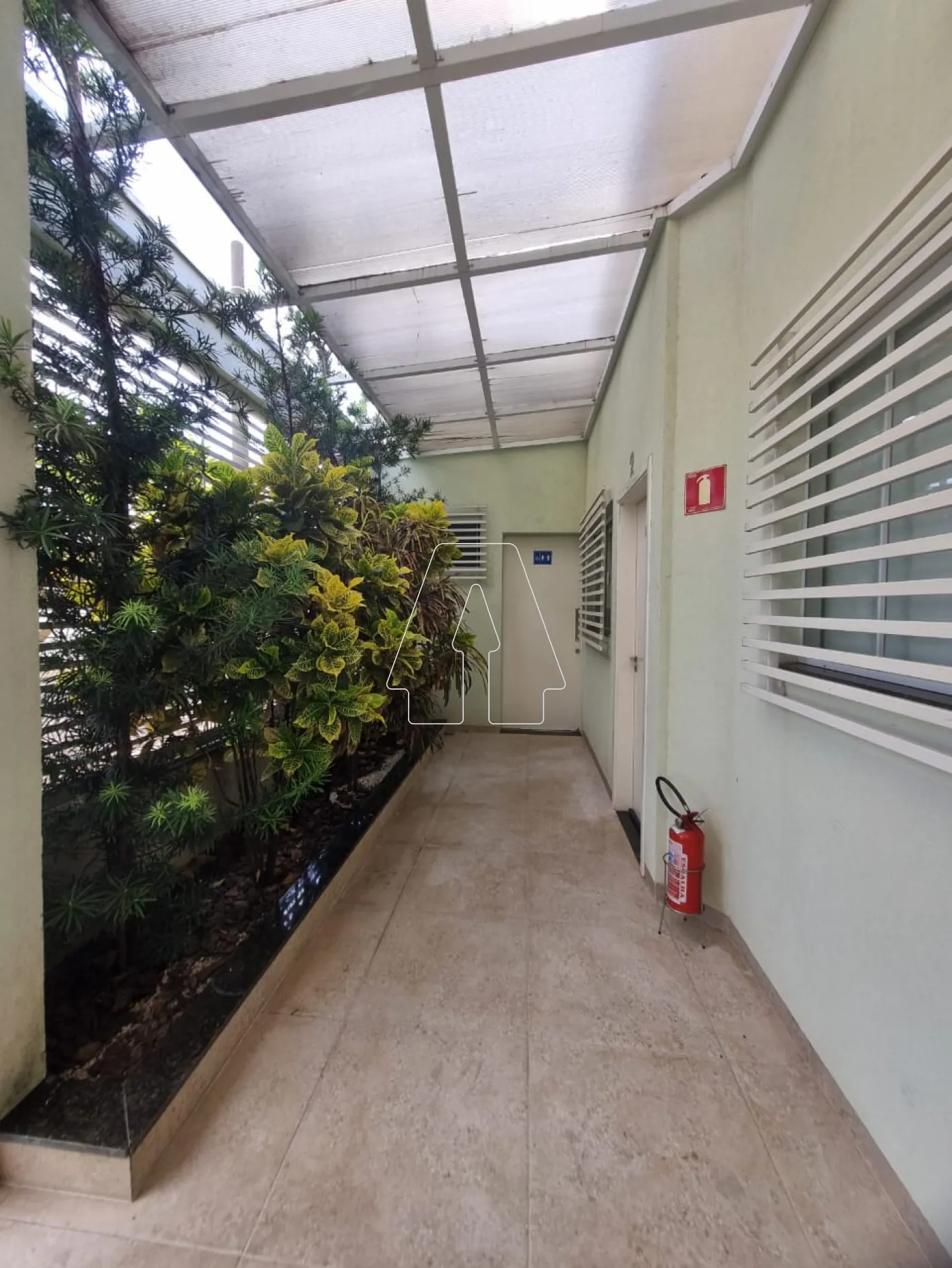 Alugar Comercial / Sala em Araçatuba R$ 575,00 - Foto 7