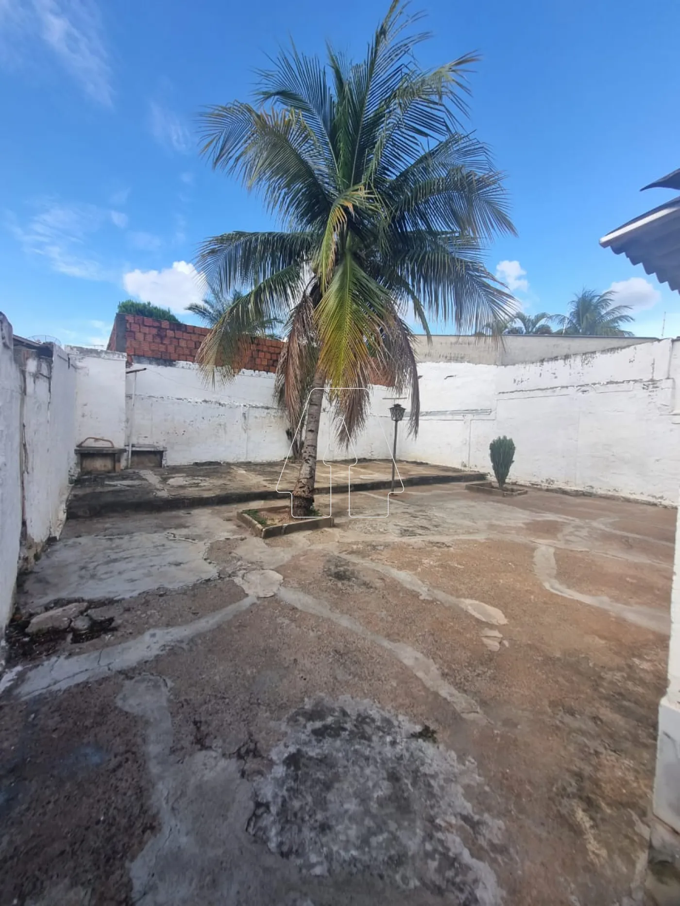 Alugar Casa / Residencial em Araçatuba R$ 1.200,00 - Foto 10