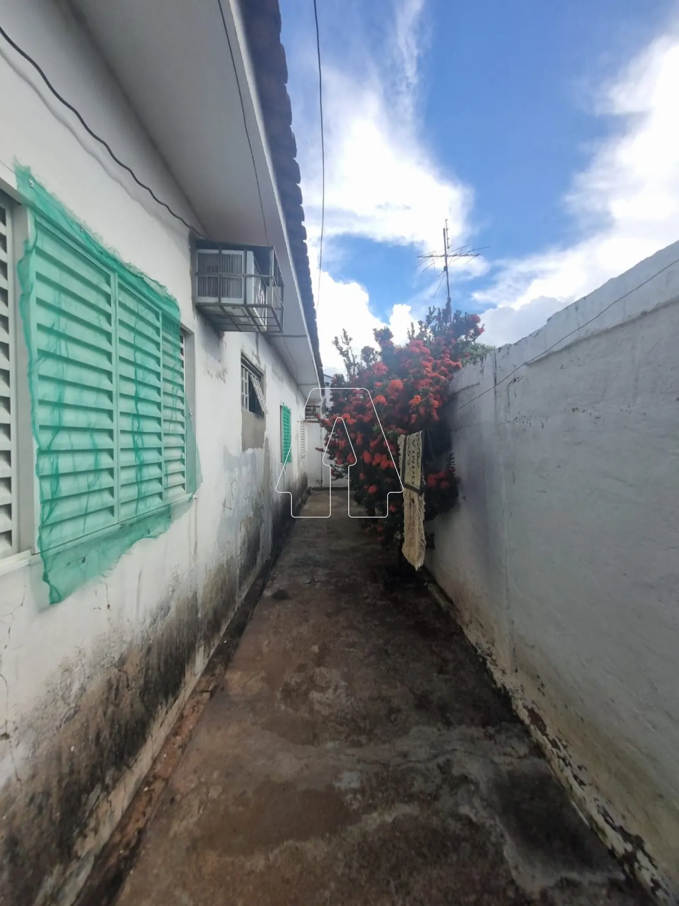 Alugar Casa / Residencial em Araçatuba R$ 1.200,00 - Foto 13