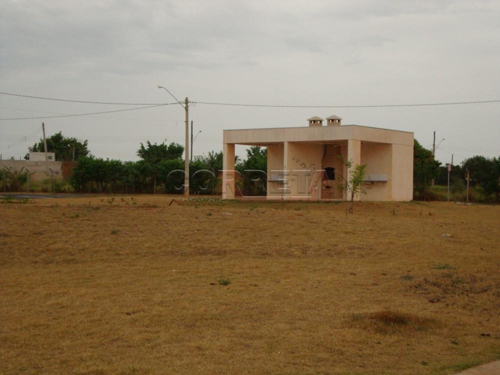 Alugar Casa / Condomínio em Araçatuba R$ 1.000,00 - Foto 14